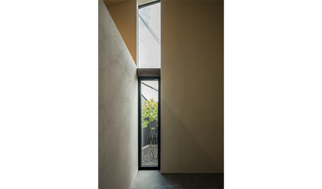 1階ROOMより中庭を望む。最高天井高4mを越える伸びやかな空間。