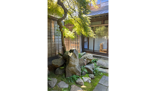 中庭を望む。オーナー主ら苔と軟石を加え中庭を再生させた。
