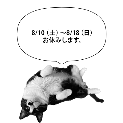 240808cat.png